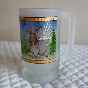 Vtg 1999 YELLOWSTONE Worlds First National Park Frosted Glass Mug